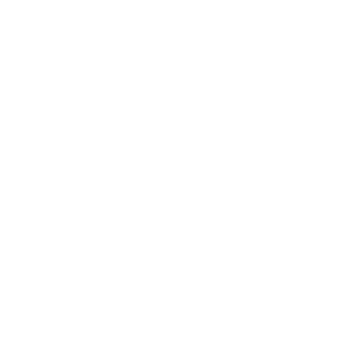 Own the Night